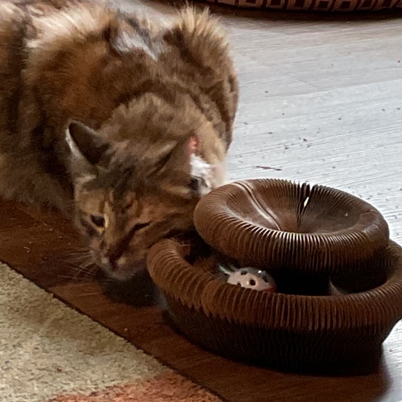 Cat Scratching Board with Bell-Ball - Picture 1 of 5
